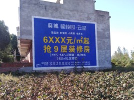 内江品牌公司青睐的墙体广告