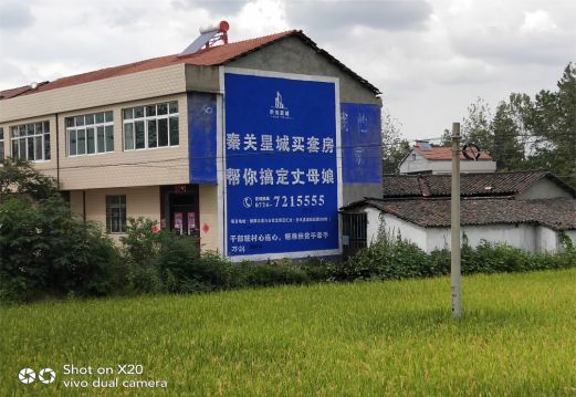 内江决定墙体广告价格的因素有哪些?
